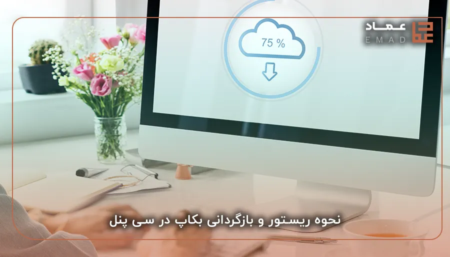 نحوه ریستور و بازگردانی بکاپ در سی پنل